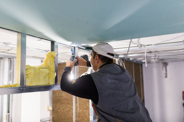 Best Specialty Insulation in Montgomery, IL